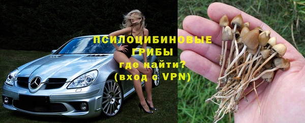 МДПВ Алексеевка