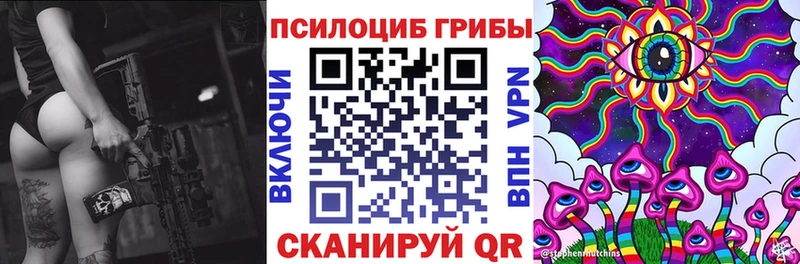 где купить наркотик  Лебедянь  Галлюциногенные грибы Psilocybine cubensis 
