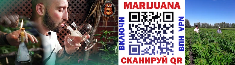 мориарти клад  Лебедянь  Шишки марихуана White Widow  где найти наркотики 